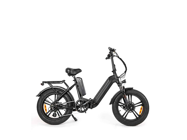 SuWing Electric Pedal Assist Bicycle