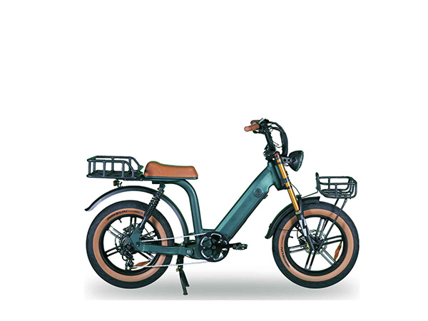 SuWing E-Bicycle